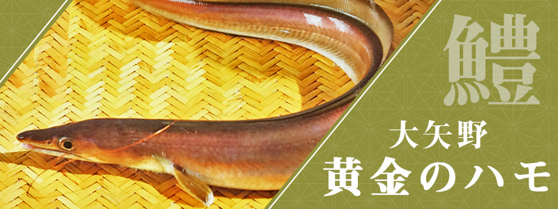 トップ画像