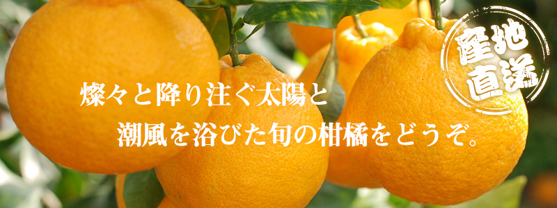 トップ画像