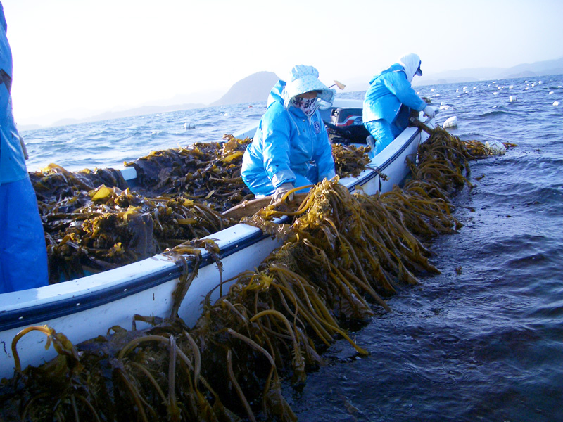 海産物