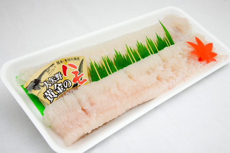 大矢野黄金のハモ（骨切り処理済）400ｇ